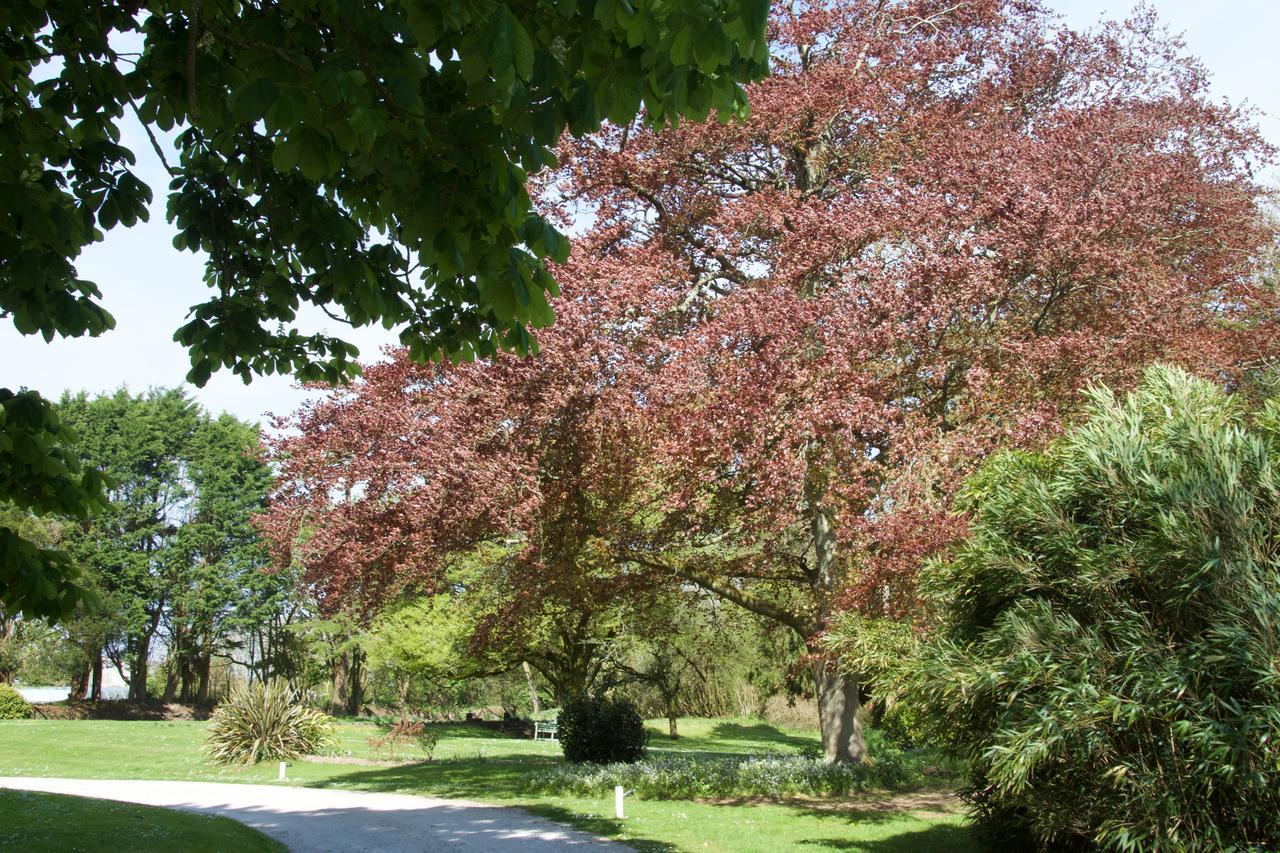Trewornan Manor Bed and Breakfast Wadebridge Exteriör bild